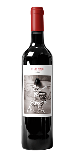 CELEBRITIES SYRAH BODEGAS SAN VALERO