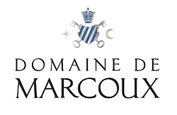  Domaine de Marcoux