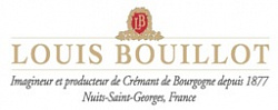 Louis Bouillot